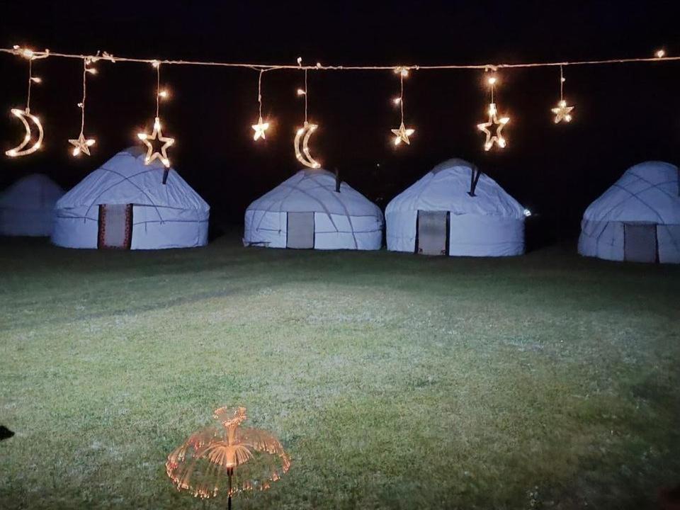 Zalkar Yurt Camp Song-Kul Exterior foto