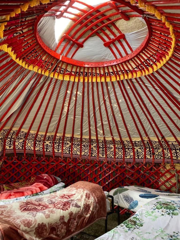 Zalkar Yurt Camp Song-Kul Exterior foto